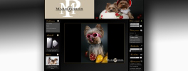 www.marie-poirier.com